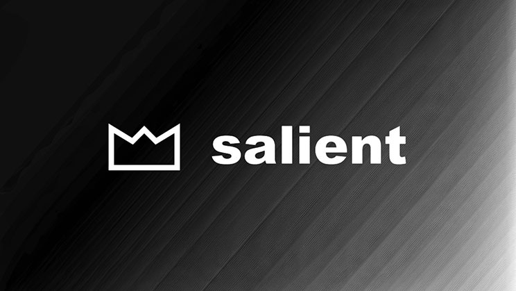 Salient Theme Logo