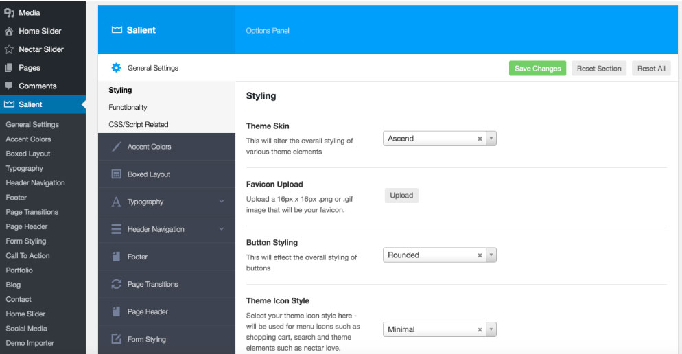 Salient Theme Options Panel in WordPress