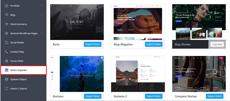 The demo importer settings in Salient Theme WordPress